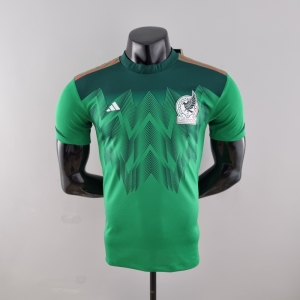 Player Version 2022 Mexico Home Soccer Jersey